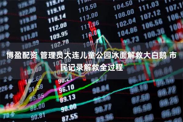 博盈配资 管理员大连儿童公园冰面解救大白鹅 市民记录解救全过程