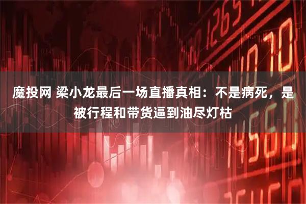 魔投网 梁小龙最后一场直播真相:不是病死,是被行程和带货逼到油尽灯枯