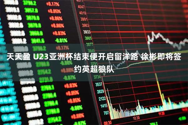 天天盈 U23亚洲杯结束便开启留洋路 徐彬即将签约英超狼队